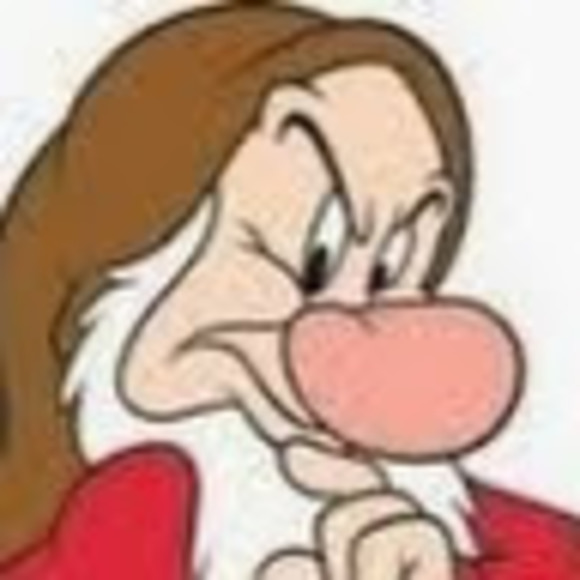 Meet your Posher, Ginger - Picture 1 of 1